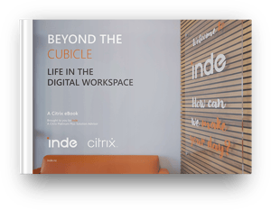 Inde eBook -Beyond the cubicle 3D cover